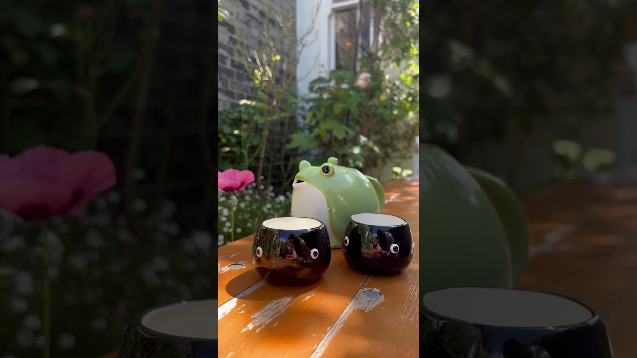 The cutest frog and tadpole tea set is in from Japan. 🐸 #kawaiishop #frogcore