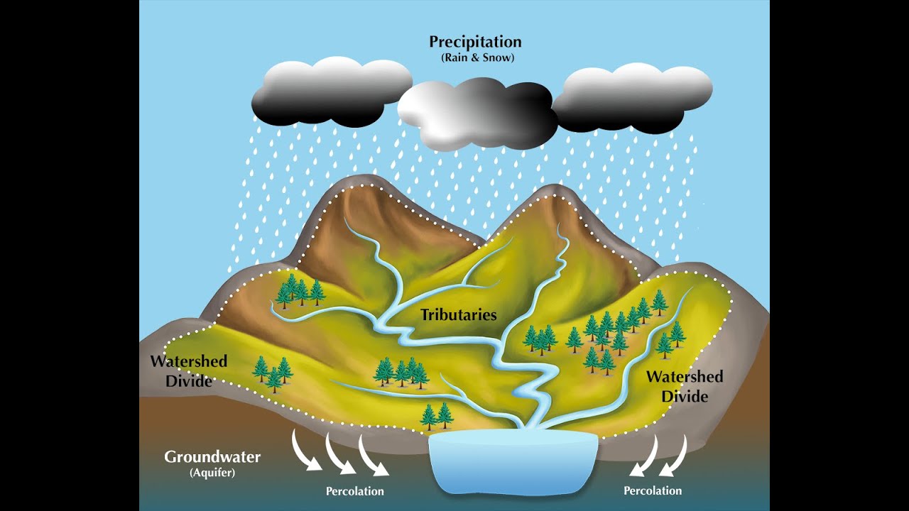 Evaluation of Land Use Changes on StreamDischarge by SWAT Model and Remote Sensing..