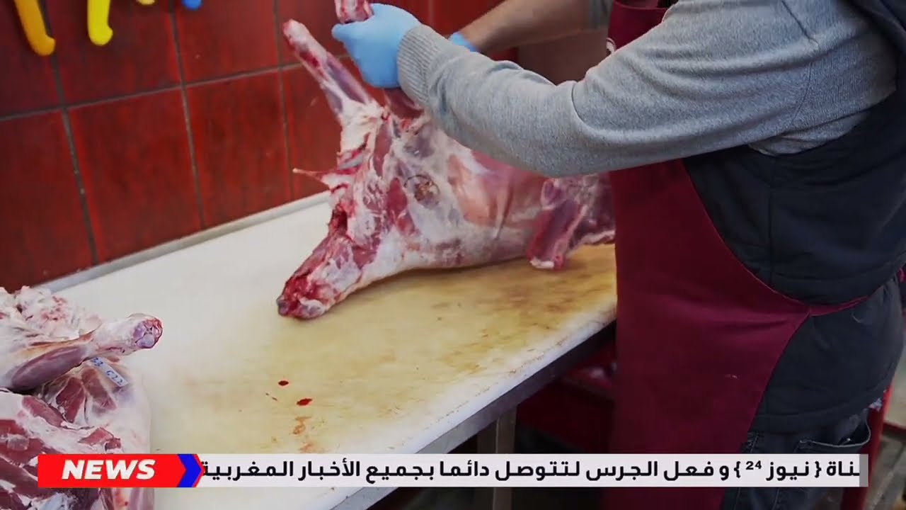 عاجل : 12 ضـ.ـحية إنـقـلاب بـيـكـوب يـخـلـف فا.جعة بالمغرب اليوم - أخبار اليوم السبت 21 فبراير 2026