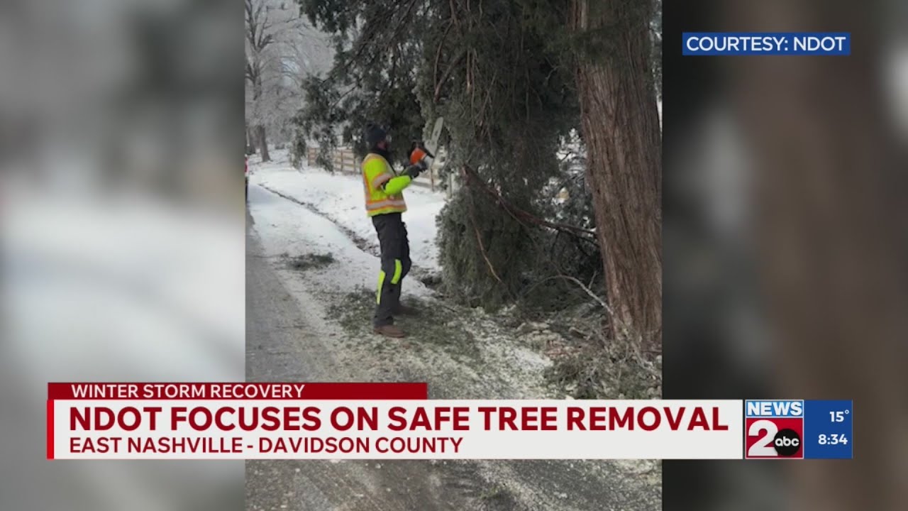 NDOT focuses on safe tree removal