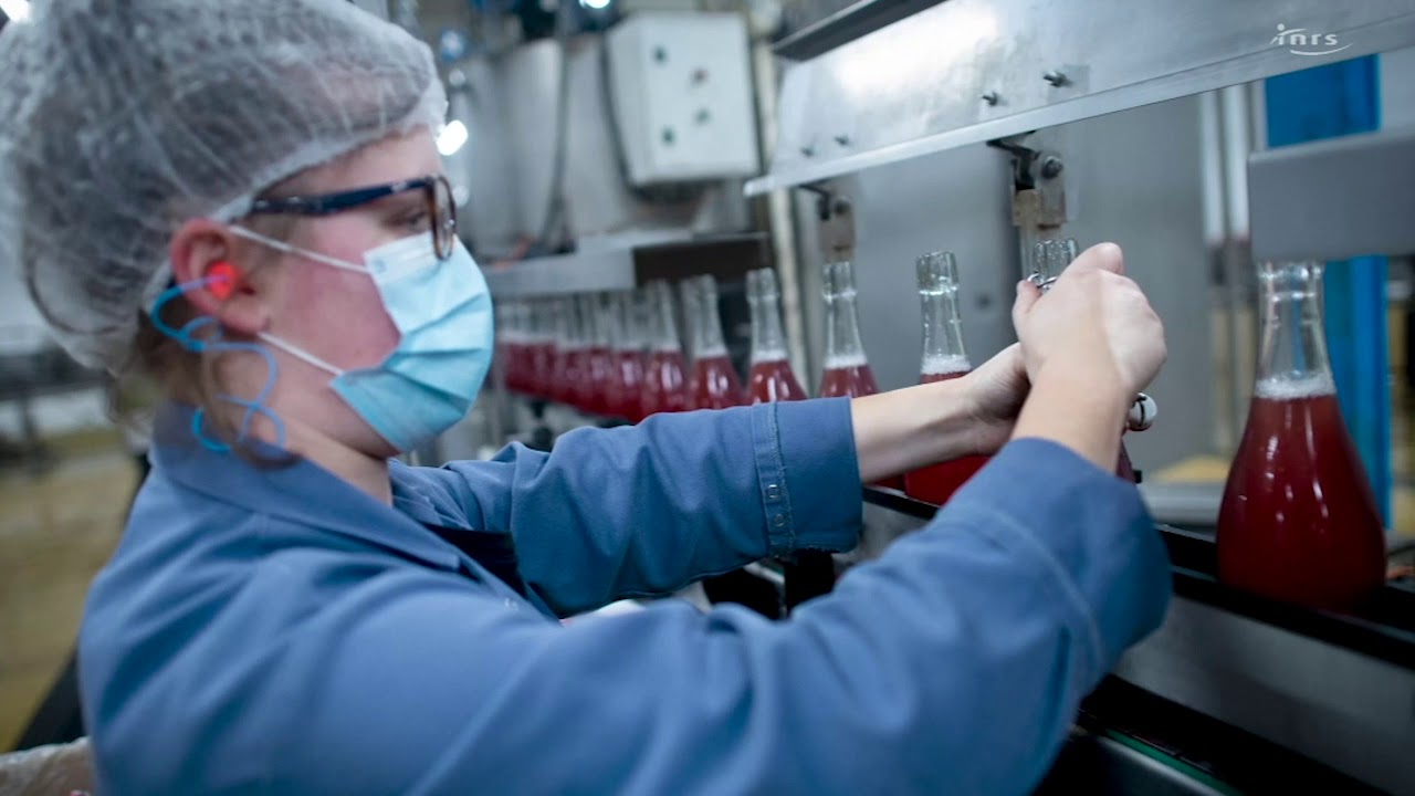 Sur le terrain – Transformation des pommes à la cidrerie CSR