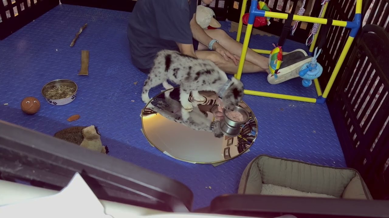 Strange New Things - Curved Mirror