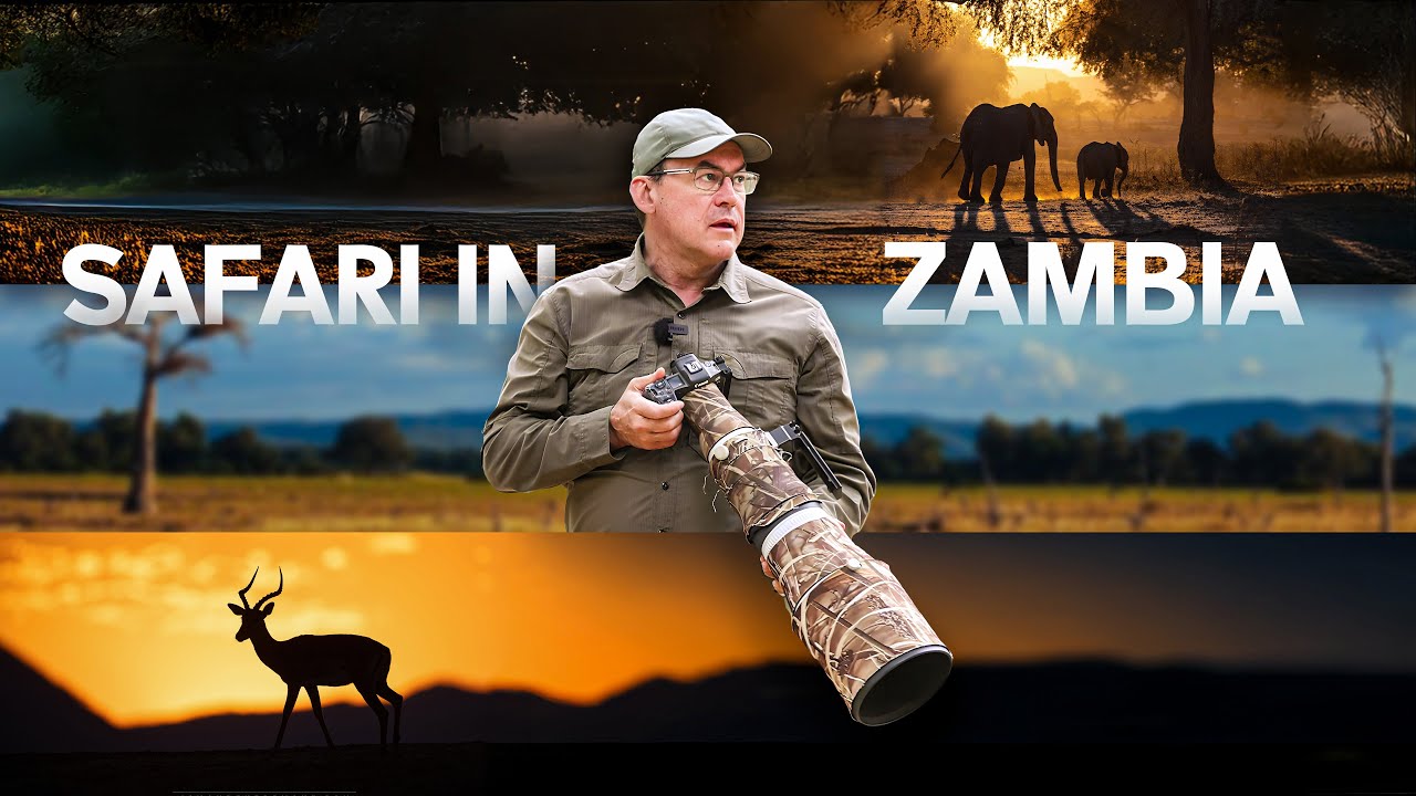 Why THIS may be the best wildlife photo destination in the world!