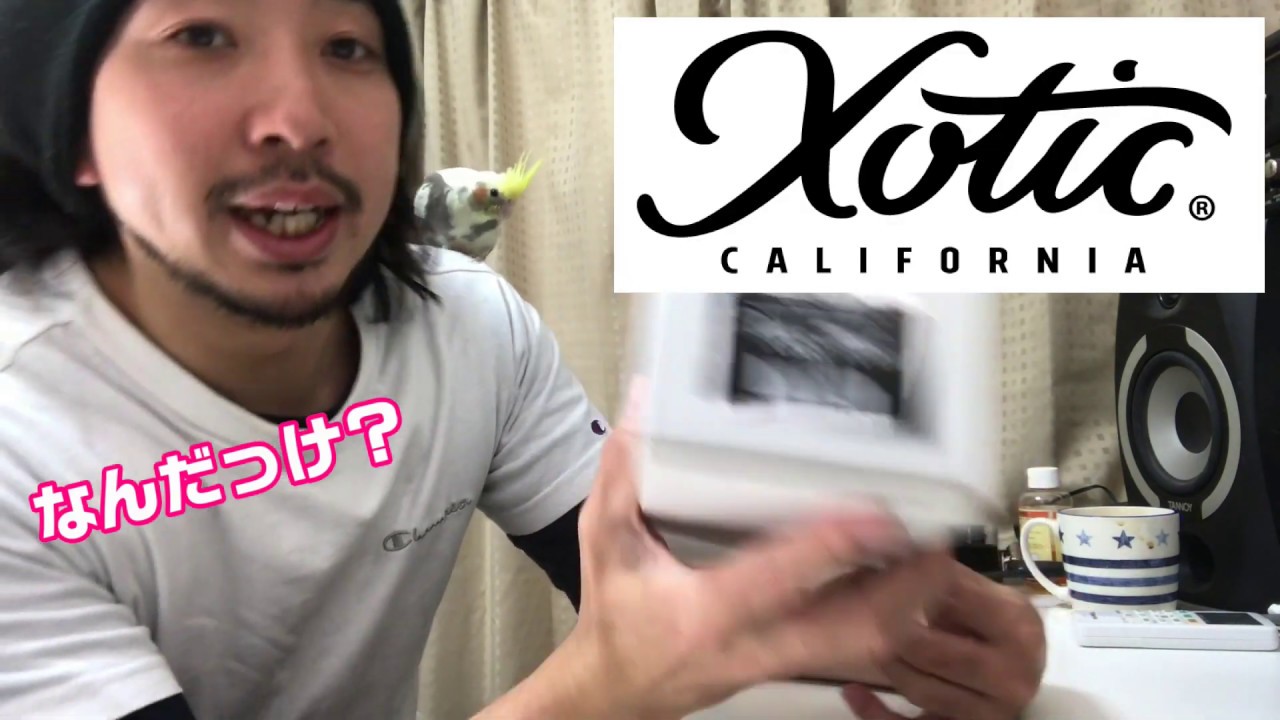 西尾○矢さん風　高品質ワウペダルXotic xw 1 開封～サウンドチェック