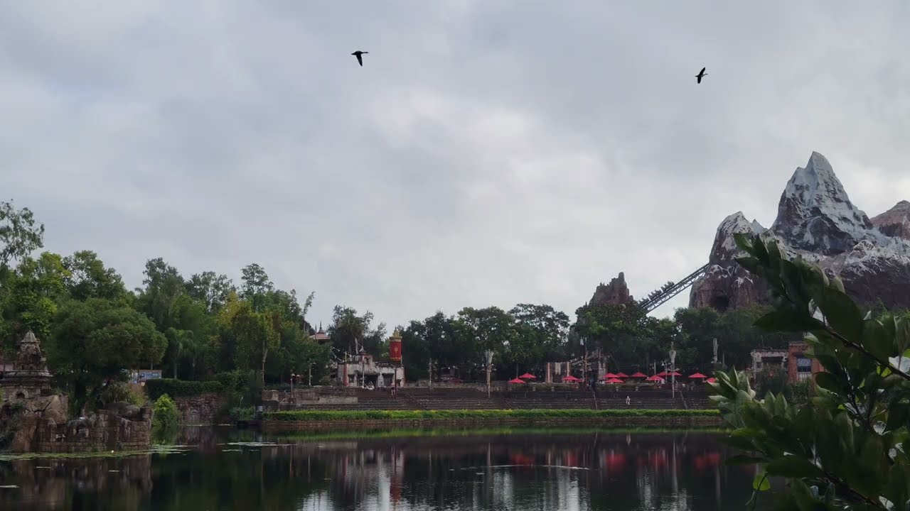 📍 You Are Here - Disney's Animal Kingdom - Discovery River Lagoon Ambience - Flame Tree BBQ