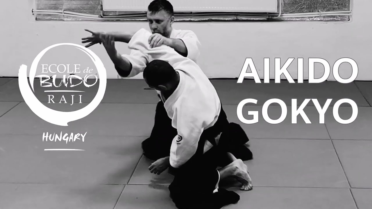 GOKYO - AIKIDO OSAE WAZA #5 - Gollob Szabolcs & Uj Tamás