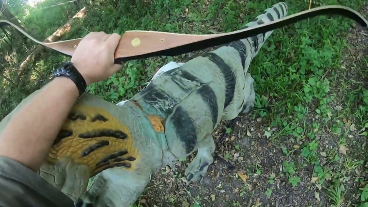 3D shooting with my new Bear Grizzly Recurve!