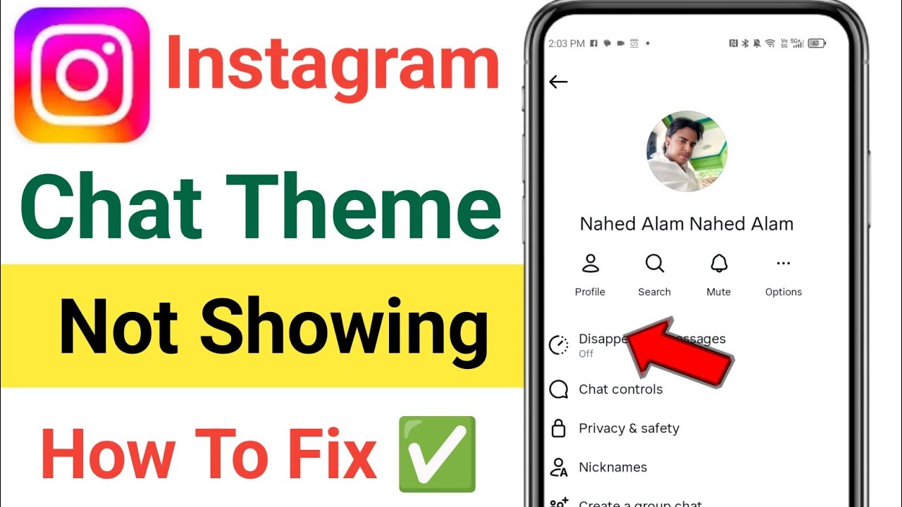 Fix Instagram Chat Theme Option Not Showing Problem | Chat Theme Not Available Instagram Problem