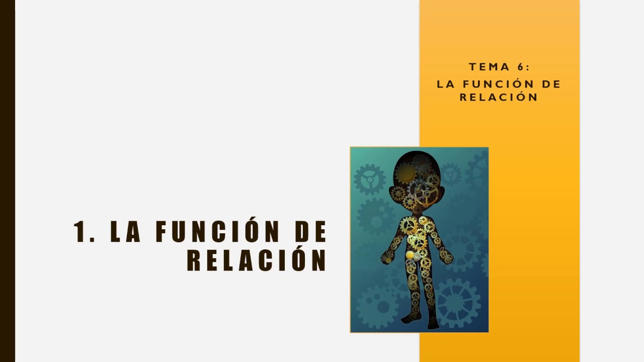 1 - La funci&oacute;n de relaci&oacute;n (3&ordm; ESO)