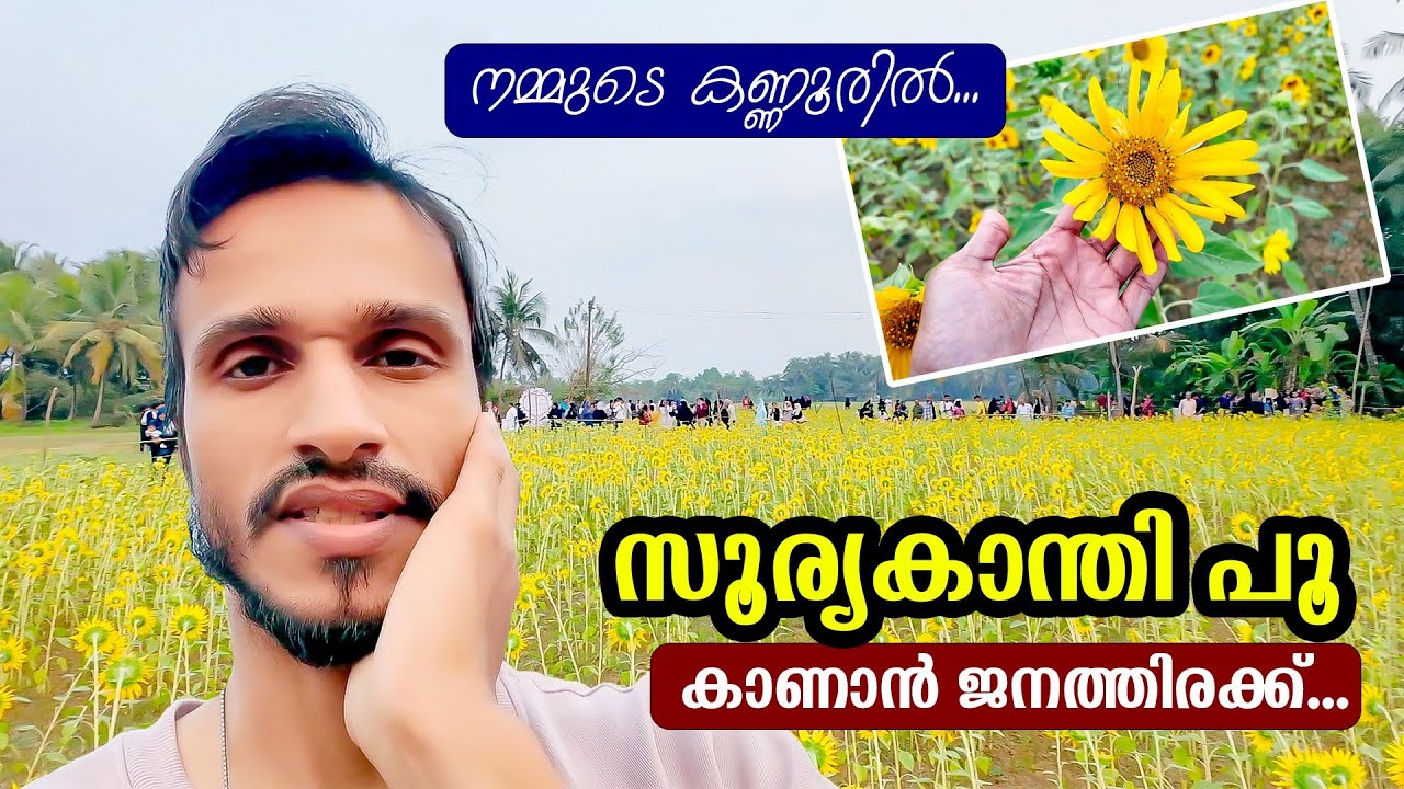 നമ്മുടെ കണ്ണൂരിലും വന്നു. ഇനി ഗുണ്ടൽ പേട്ടിലൊന്നും പോകണ്ടാ😊✌️