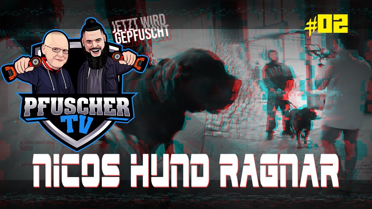 WERKSTATT Bastel-Pfusch Aktion I MUSIKVIDEODREH mit NICOS Hund