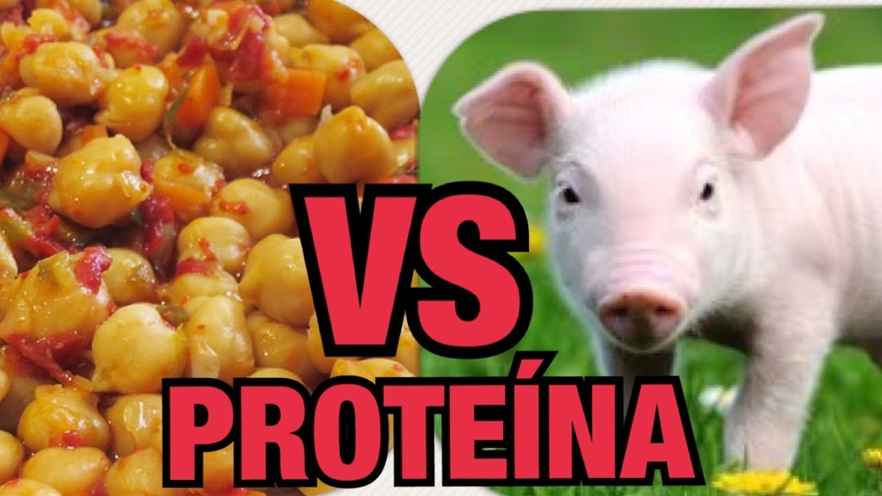 DIFERENCIAS ENTRE PROTEÍNA ANIMAL Y VEGETAL | QUÉ ALIMENTOS TIENEN PROTEÍNA VEGETAL VEGANA