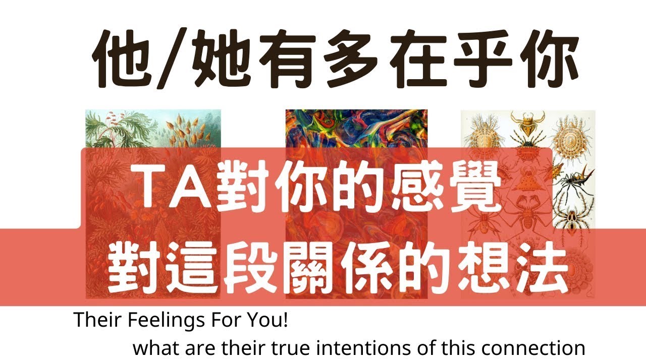 塔羅占卜🔮他/她有多在乎你?他對你的感覺，對這段關係的想法｜新人舊人 ｜CC字幕