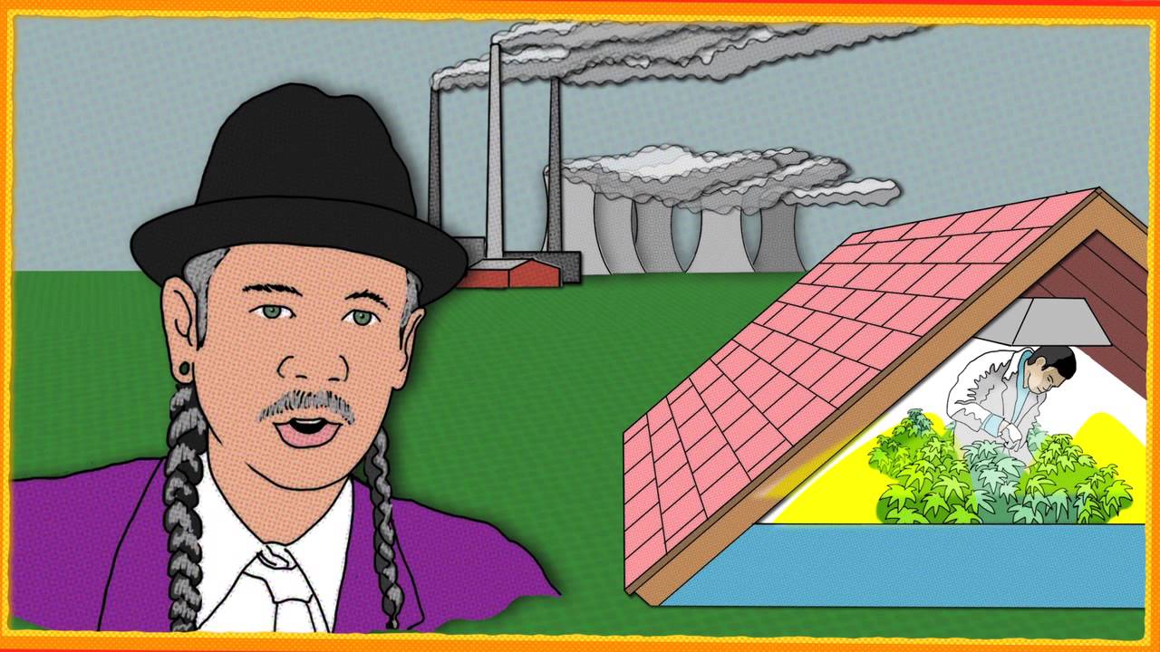 The Story of Sungrown