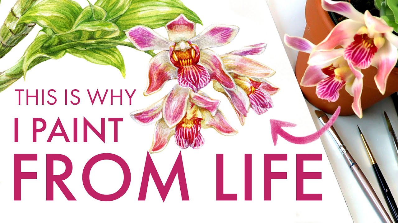 I Painted this Rare Orchid From Life // Watercolor Tutorial