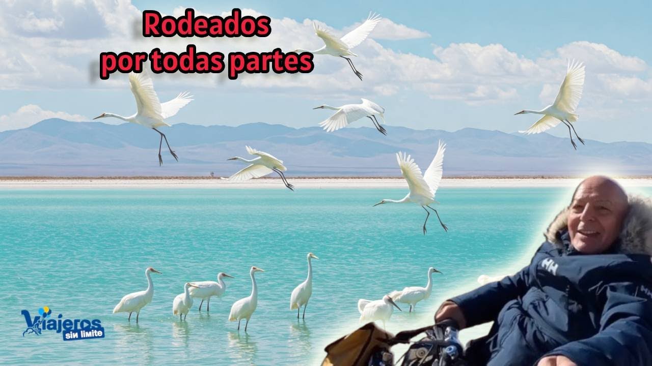 No visites la Laguna de Gallocanta sin ver este vídeo