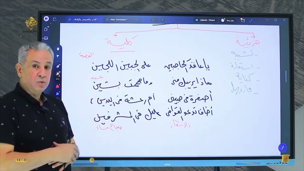 الصورة الكلية - جزء من محاضرة البلاغة - تالتة ثانوى