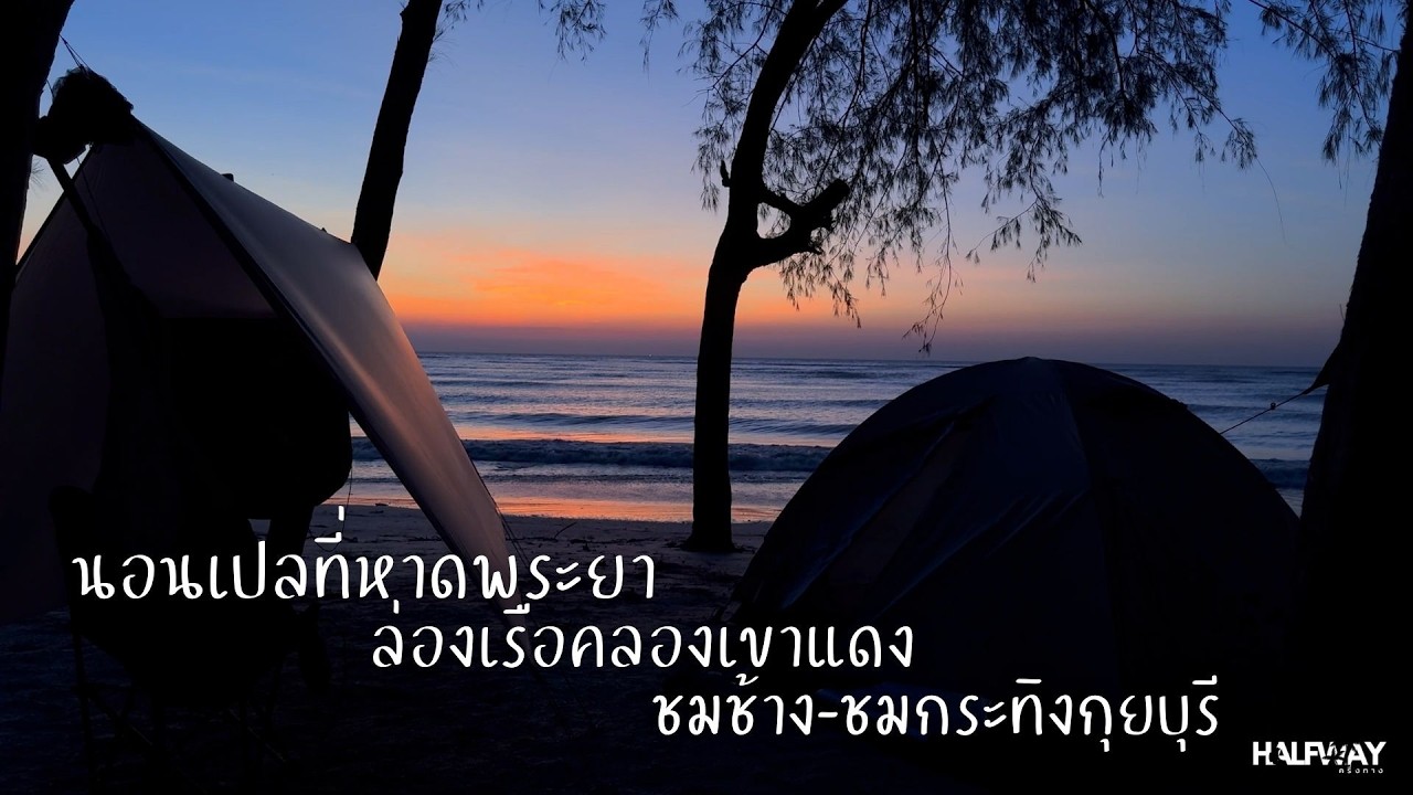 นอนเปลที่หาดสามพระยา ล่องเรือคลองเขาแดง ชมช้างชมกระทิงที่กุยบุรี