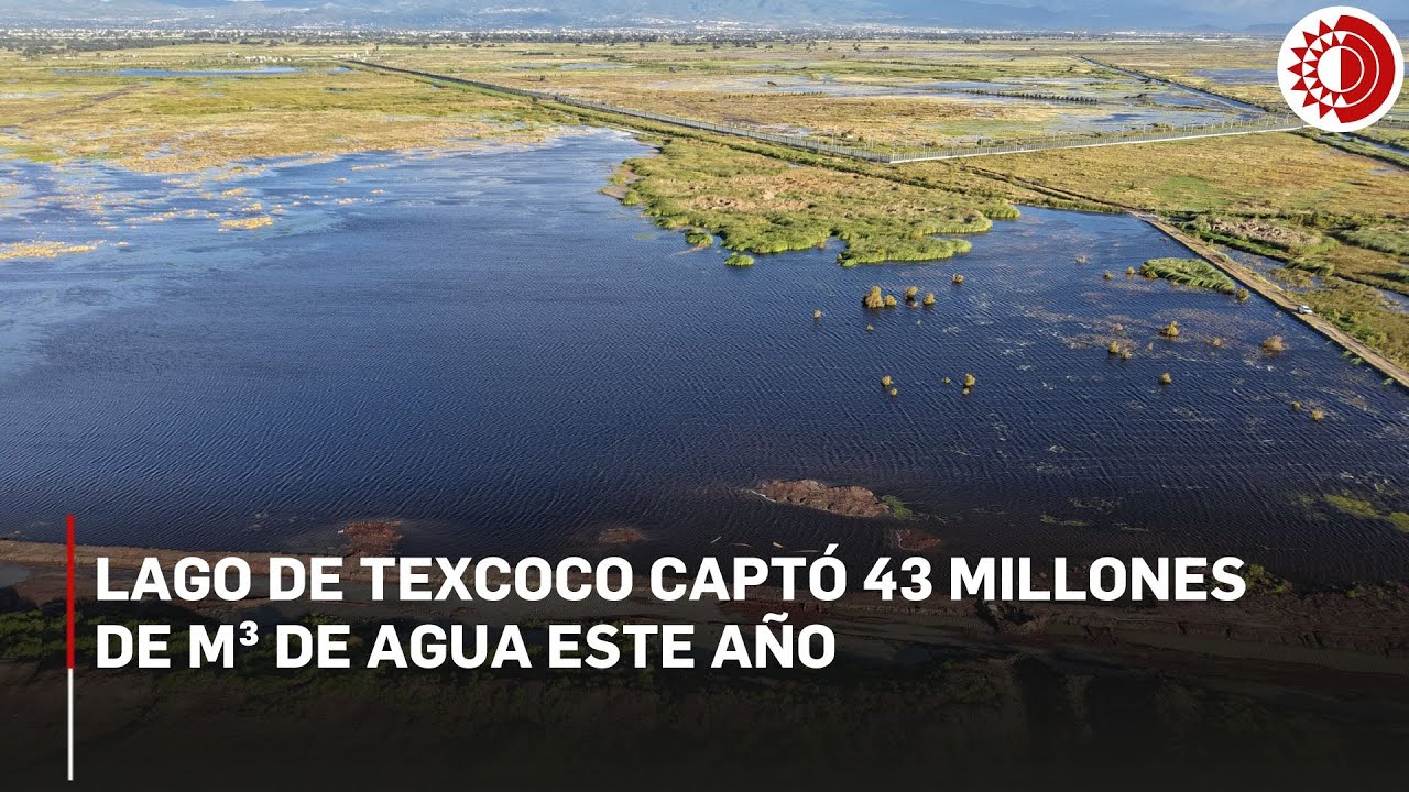 Lago de Texcoco logra captaci&oacute;n hist&oacute;rica de agua, pero enfrenta repunte de vandalismo