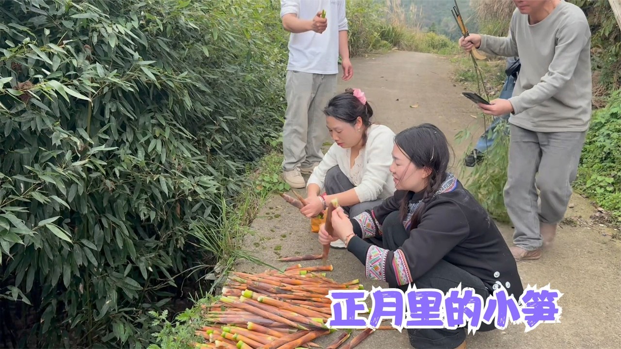 亮哥去帮小米盖房顶，还带大家去拔笋子，你们见过正月里的小笋吗