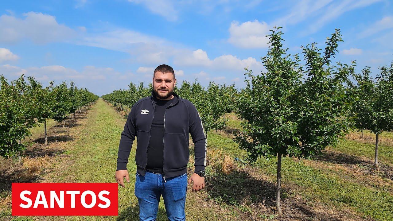 VOĆNJACI POD VIŠNJOM PRETRPELI ZNAČAJNA OŠTEĆENJA ZBOG VREMENSKIH USLOVA