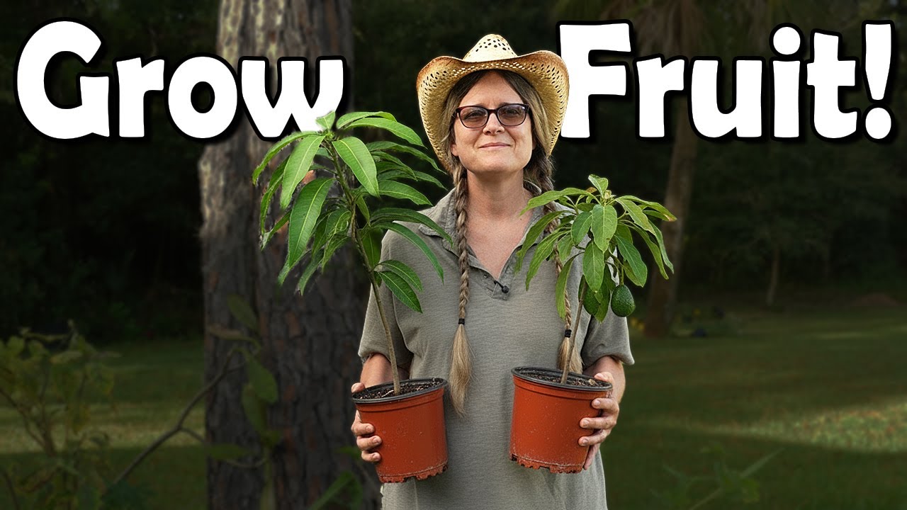 Grow Fruit Like a Pro! 🍎 Tips for Choosing & Planting the BEST Fruit Trees