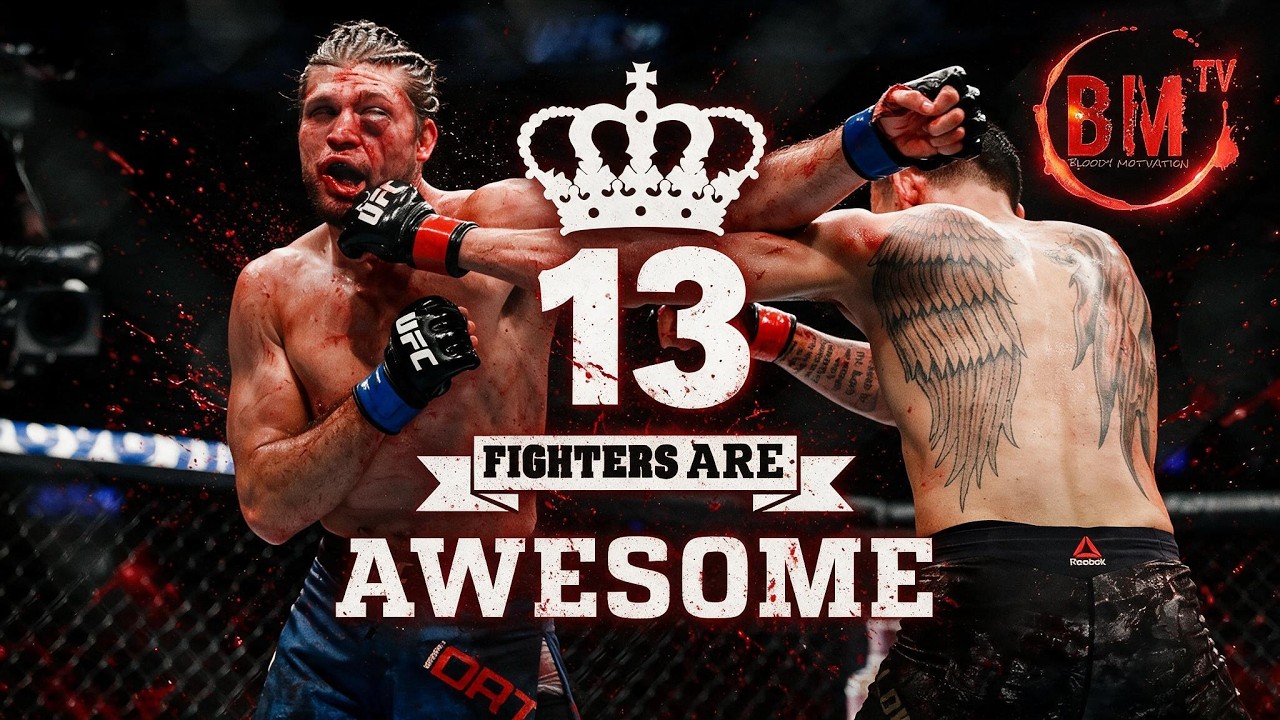 FIGHTERS ARE AWESOME 13  ᵇᵐᵗᵛ ( december recap )