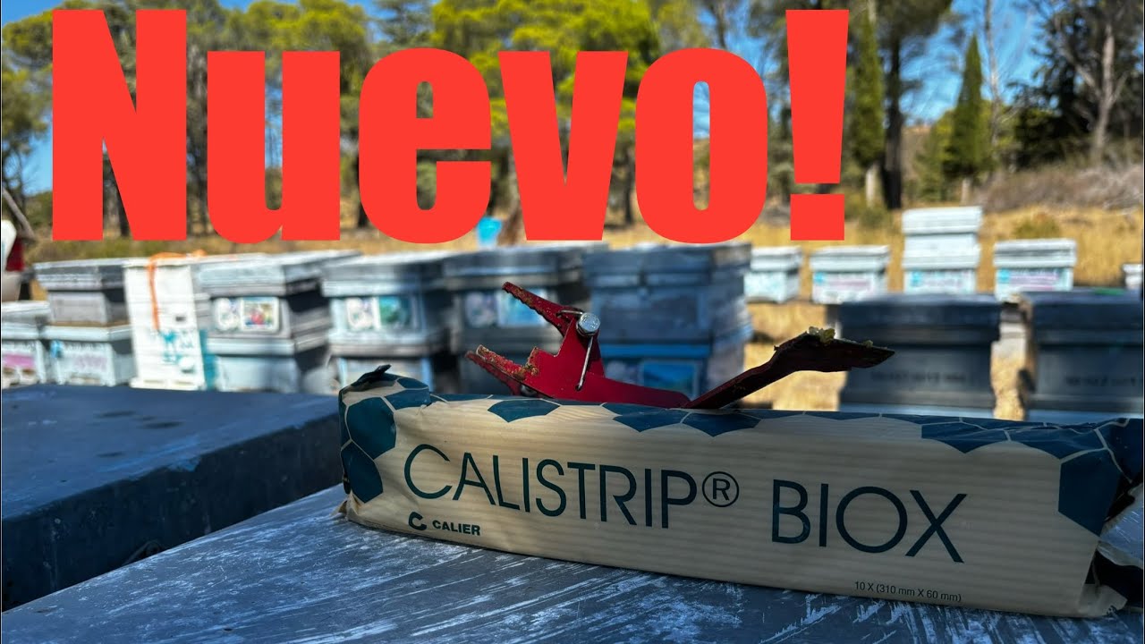 CALISTRIP BIO (nuevo tratamiento)#abejas #nuevo #top #viral