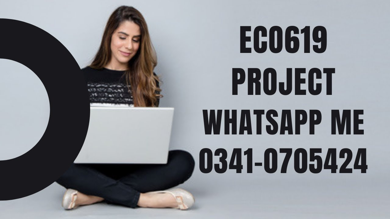 ECO619 Project eco619
