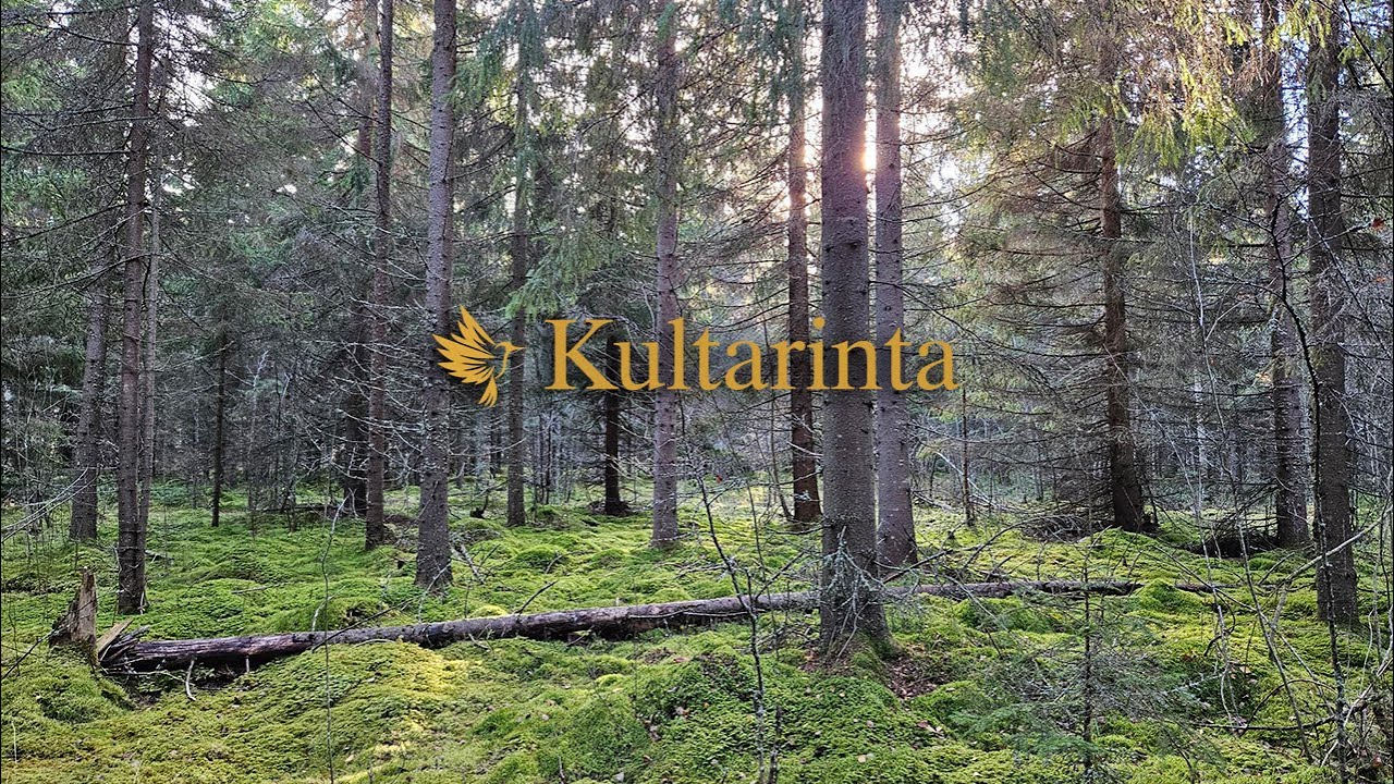 Nastarakennus | Kultarinta | Rivitalokoteja Oulun Raja-Taskilaan, luonnon ja meren läheisyyteen