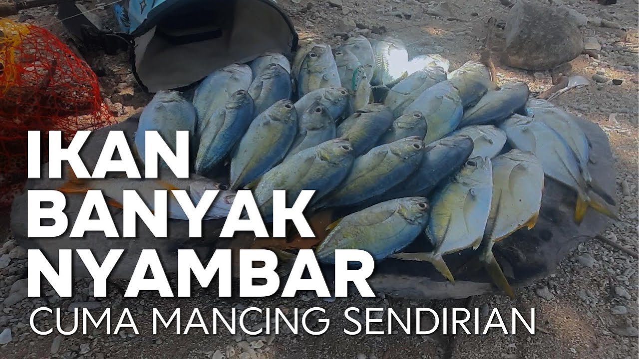 Strike Bertubi-tubi, Padahal Cuma Mancing Sendiri