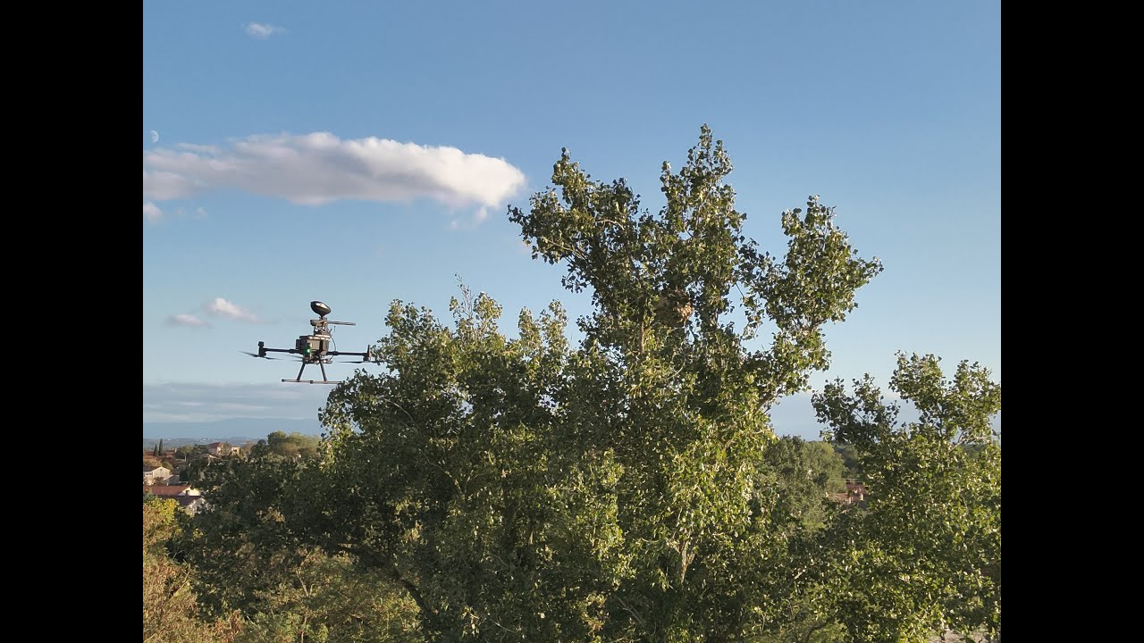 Ville de LHERM - Destruction d'un nid de frelons asiatiques avec un drone