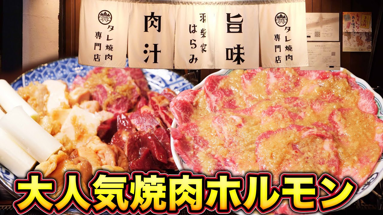 【焼肉】究極の塩ニンニクタレで食べるホルモンが最高に美味い！【飯テロ】
