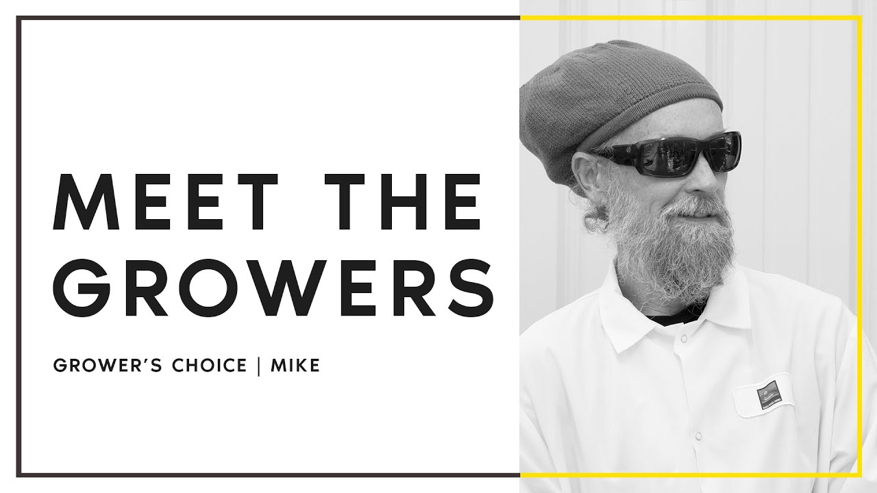 Meet the Growers | Mike Talks About Flo White