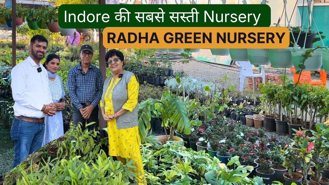 Indore की सबसे सस्ती Nursery RADHA GREEN NURSERY