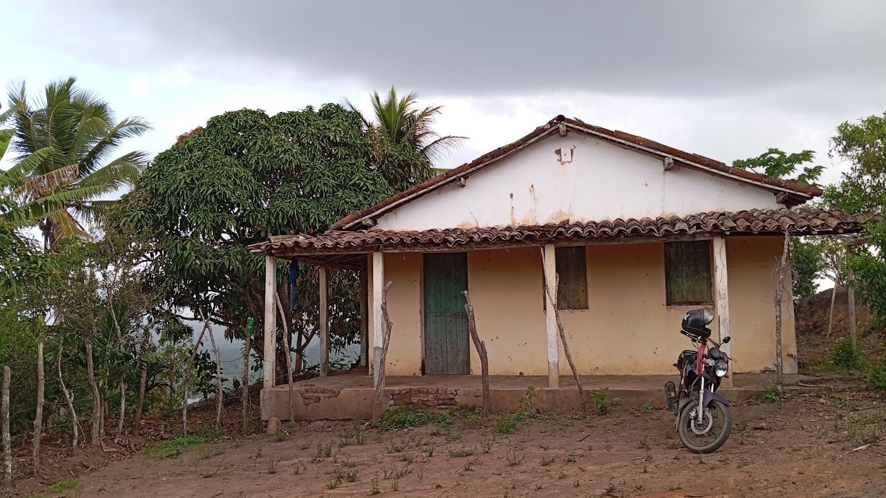 VOCÊS VÃO CONHECER O SÍTIO XODÓ LIMOEIRO PERNAMBUCO 23 DE FEVEREIRO 2026