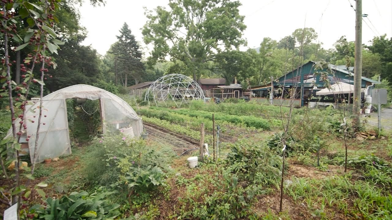 Roots and Fruits Market in Black Mountain, NC | North Carolina Weekend | UNC-TV