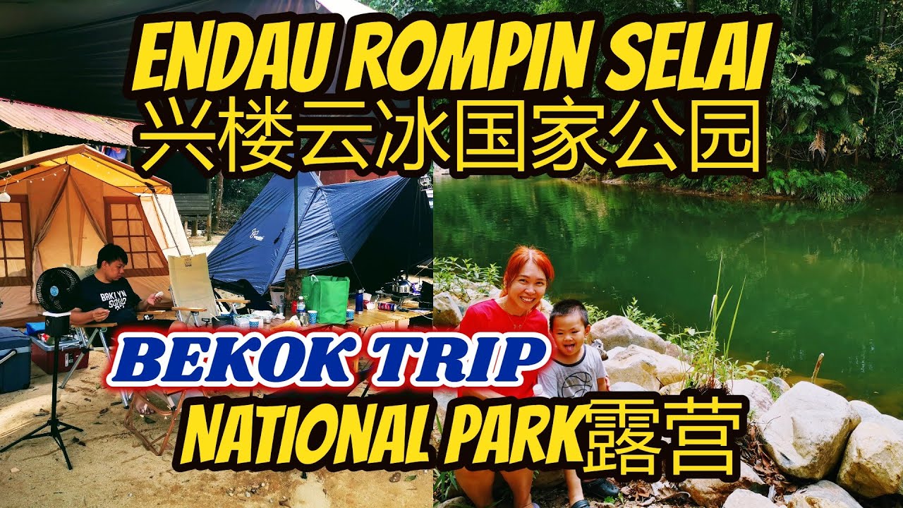 Endau Rompin Selai Bekok Campsite National Park Johor Guide 兴楼云冰彼咯色莱国家公园露营 Taman Negara Johor