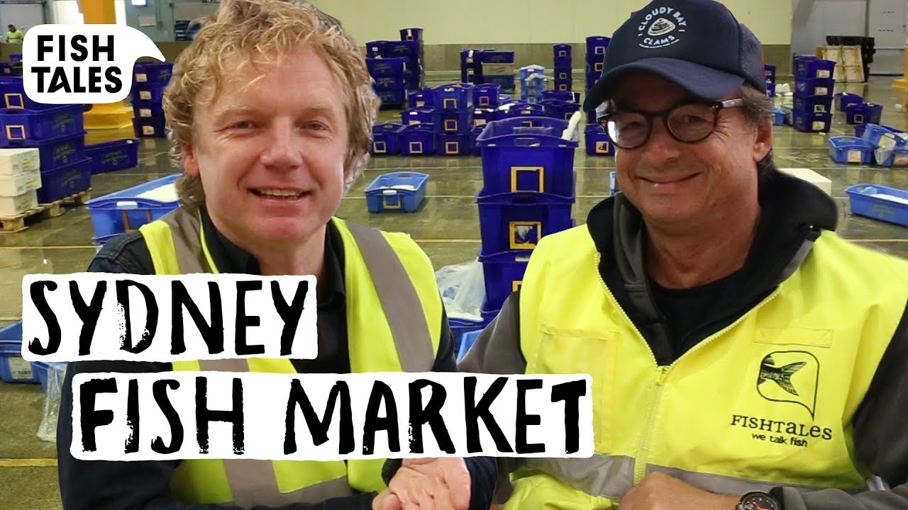 Visiting SYDNEY FISH MARKET Tour | Bart van Olphen