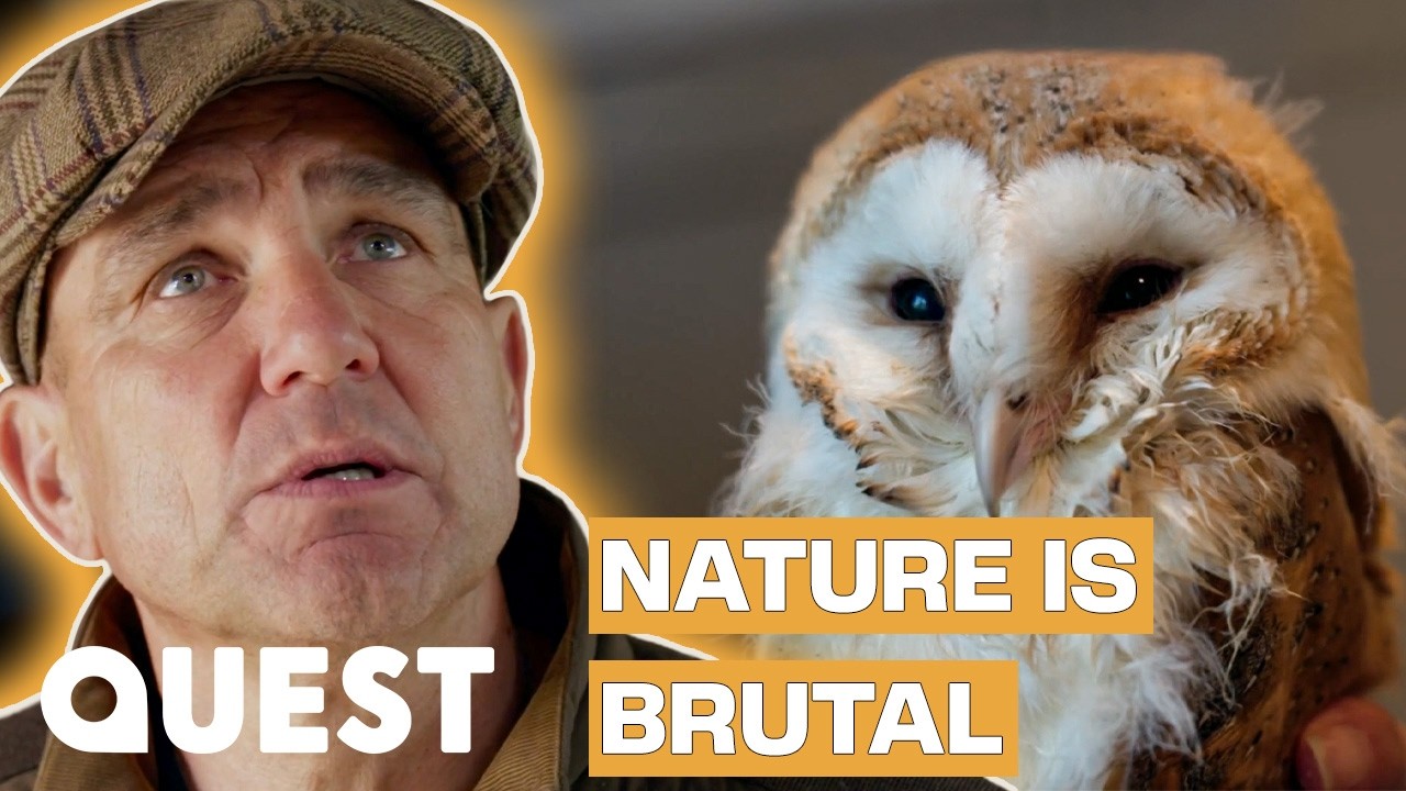 Vinnie Jones Rescues Baby Owl Chicks | Vinnie Jones In The Country