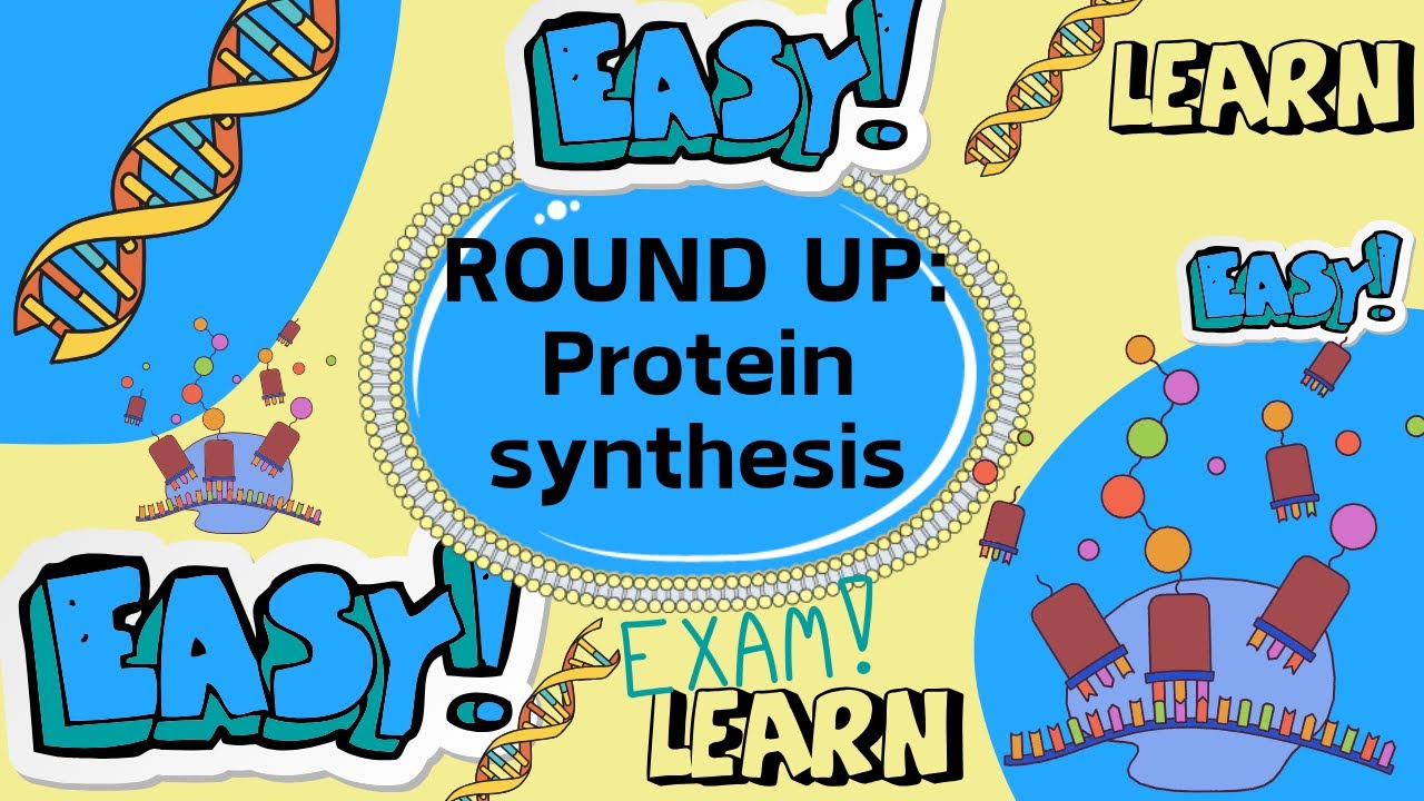 MATRIC ROUND UP: Week 1 Protein synthesis