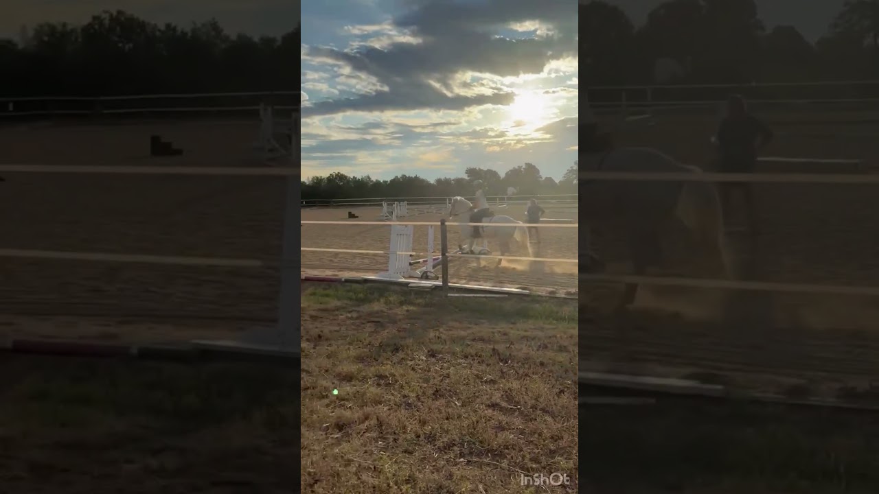 First Real jump #jump #horse #horsejump #agility #rider #amazing #amazingrider #equestrian #pony