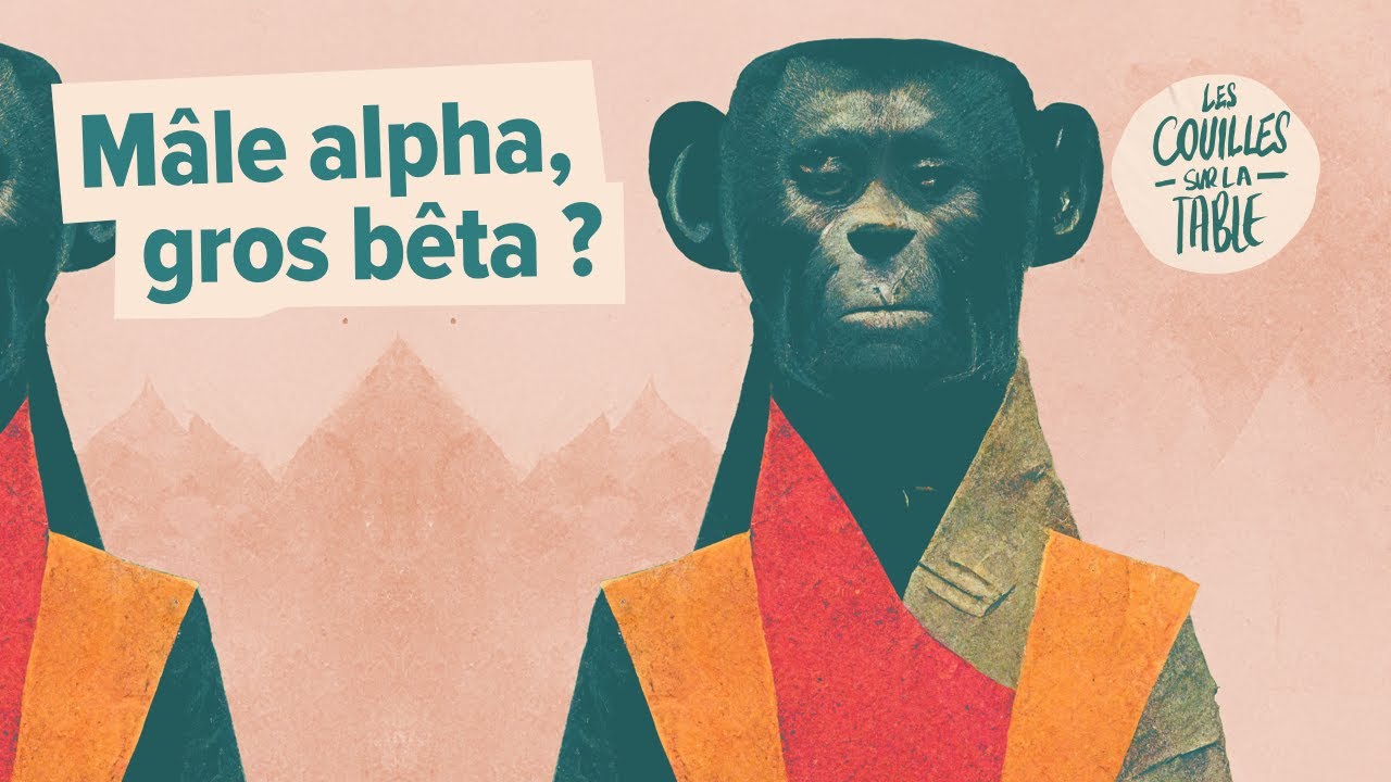 Mâle alpha, gros bêta ?