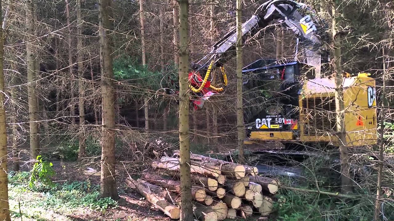 Cat 501 tree harvester 4th row thinning