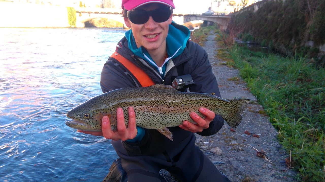 Truite au leurre n°1: Nouveau record truite 60 cm | en Ariège