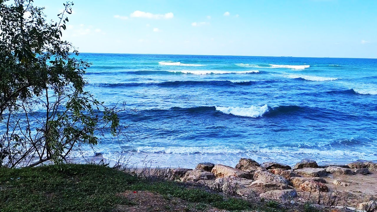 06/09/2021 - Surf Zone Fun