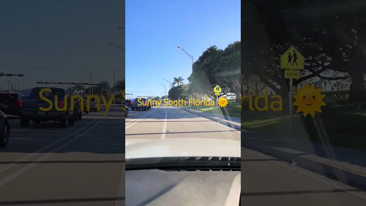 Driving in Florida 