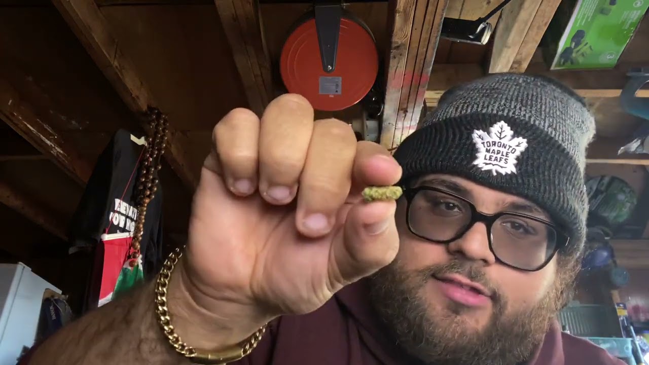 Strain Review - Pink Cookies - 26.86% THC - Big Bag Of Buds