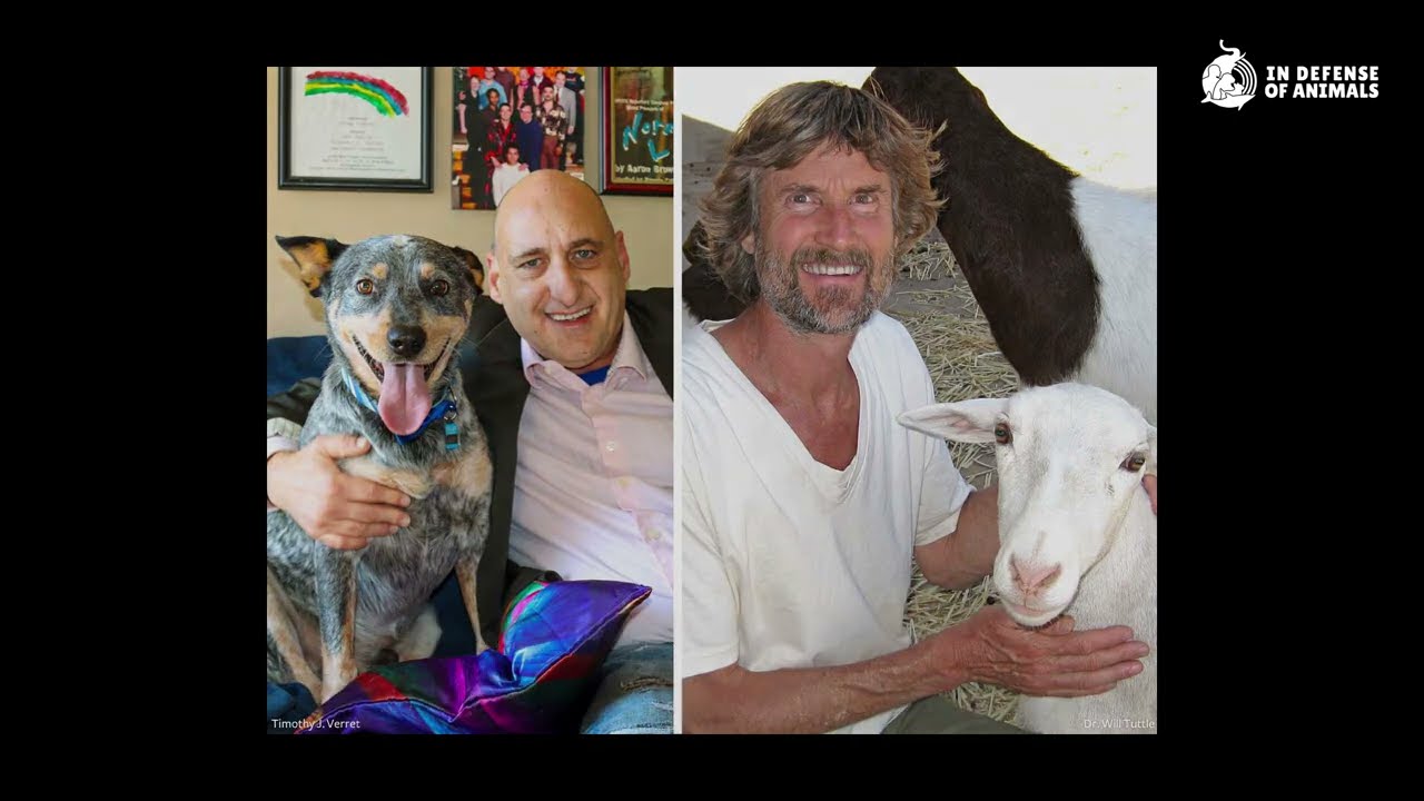 Sermons Promoting Animal Compassion Win Awards!