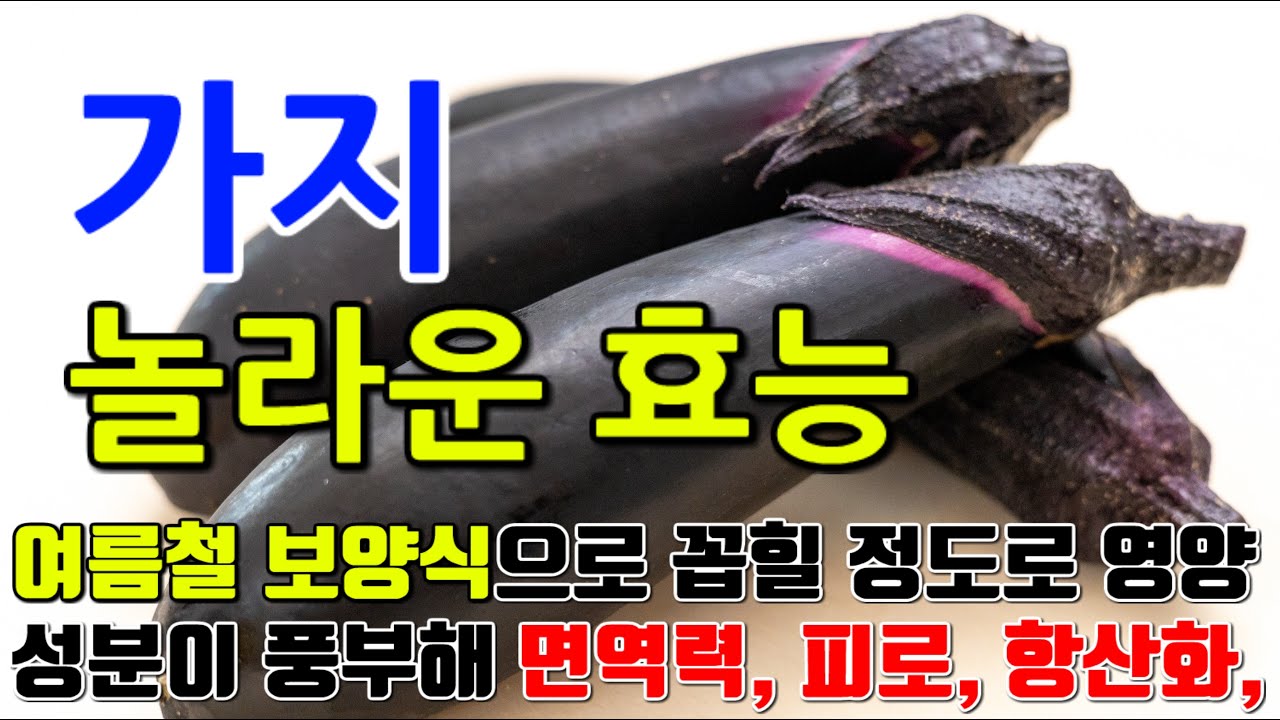 가지의 놀라운 효능 8가지 & 부작용 / 